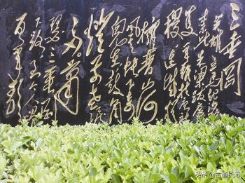 倜傥是什么意思_倜傥的寓意