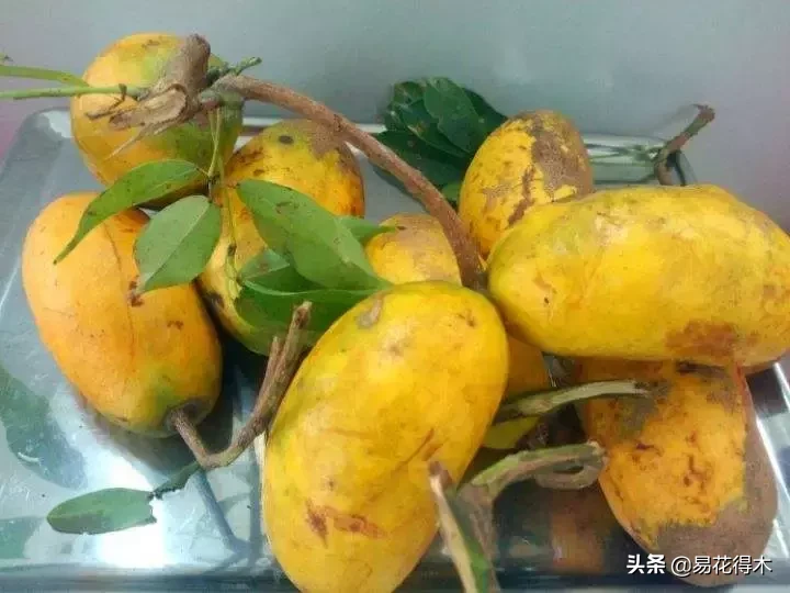投木报琼什么意思_投木报琼的深层含义