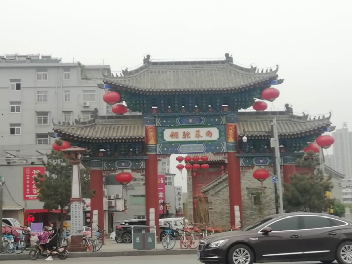 铜驼荆棘什么意思_铜驼荆棘的寓意