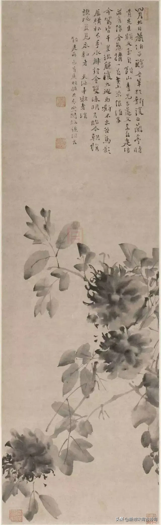 徐渭是一个怎样的人_徐渭的生平简介