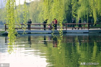 柳絮什么时候飘落_柳絮飘落的季节和危害