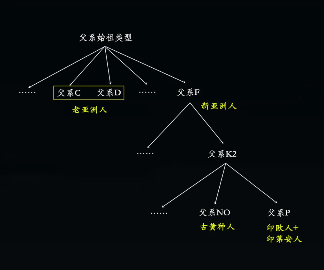 汉族人的起源是什么_汉族人的起源和形成