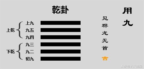 乾卦的爻辞是什么意思_乾卦的爻辞的含义