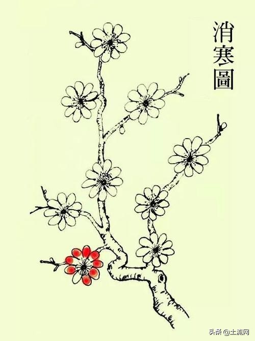 数九寒天是什么意思_数九寒天的寓意