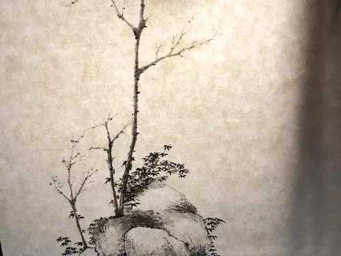 鲍照是什么意思_鲍照的基本资料