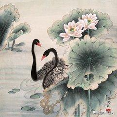 孙不二是谁_孙不二个人简介