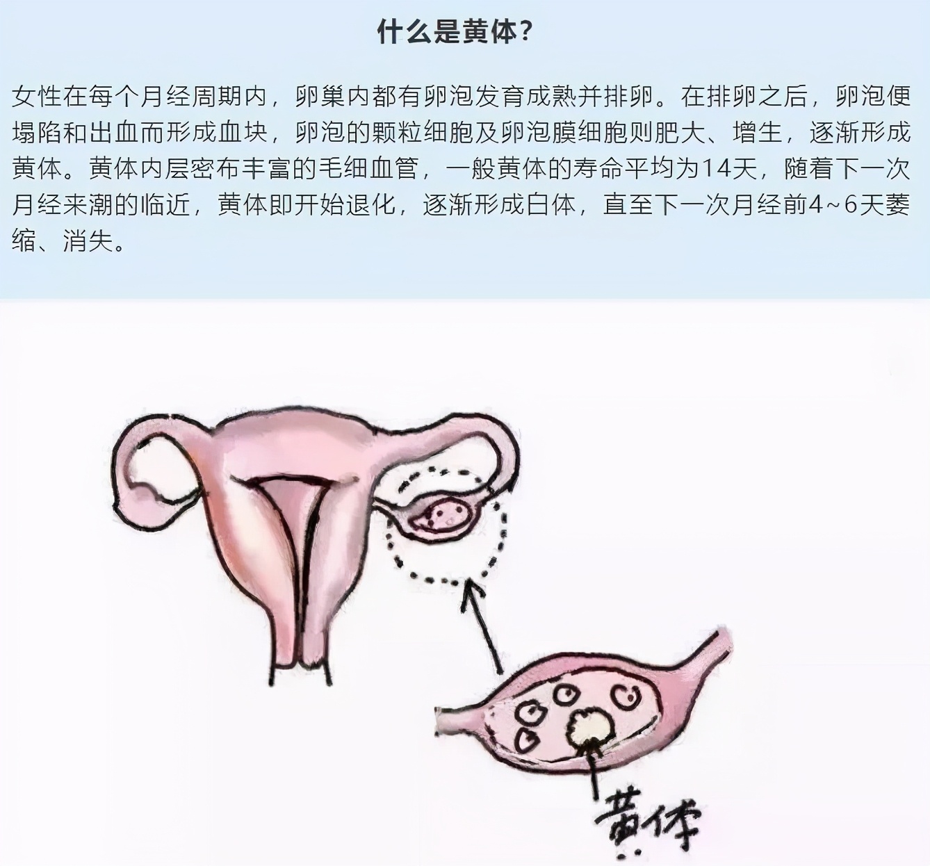 月经期间可以减肥吗_月经期间减肥的方法和注意事项