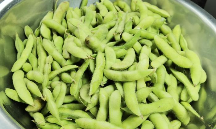 毛豆怎么煮_煮毛豆的教程
