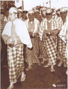 胞波情谊是什么意思_胞波情谊的含义