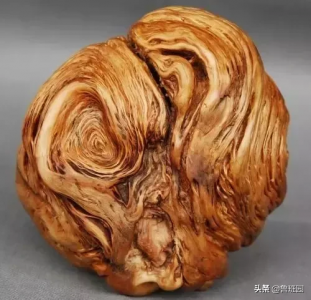 榆木疙瘩什么意思_榆木疙瘩的真正含义
