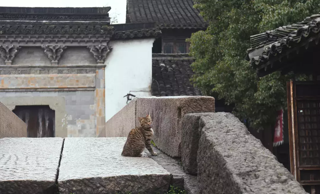 什么是水乡_水乡的由来
