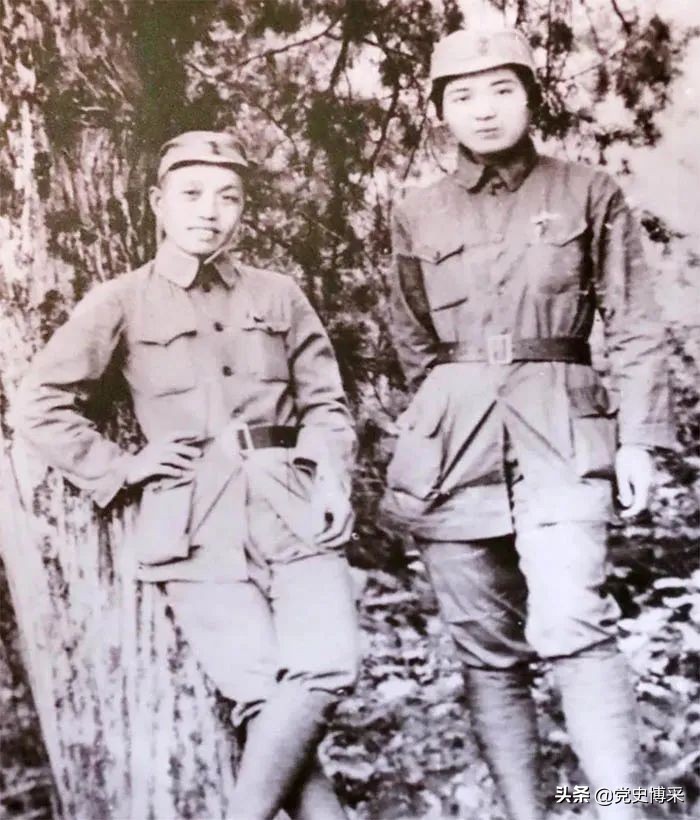 谭震林是谁_谭震林的个人简介
