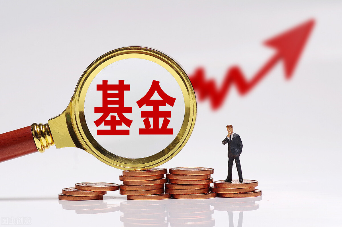 基金怎么玩_基金常识新手基金入门