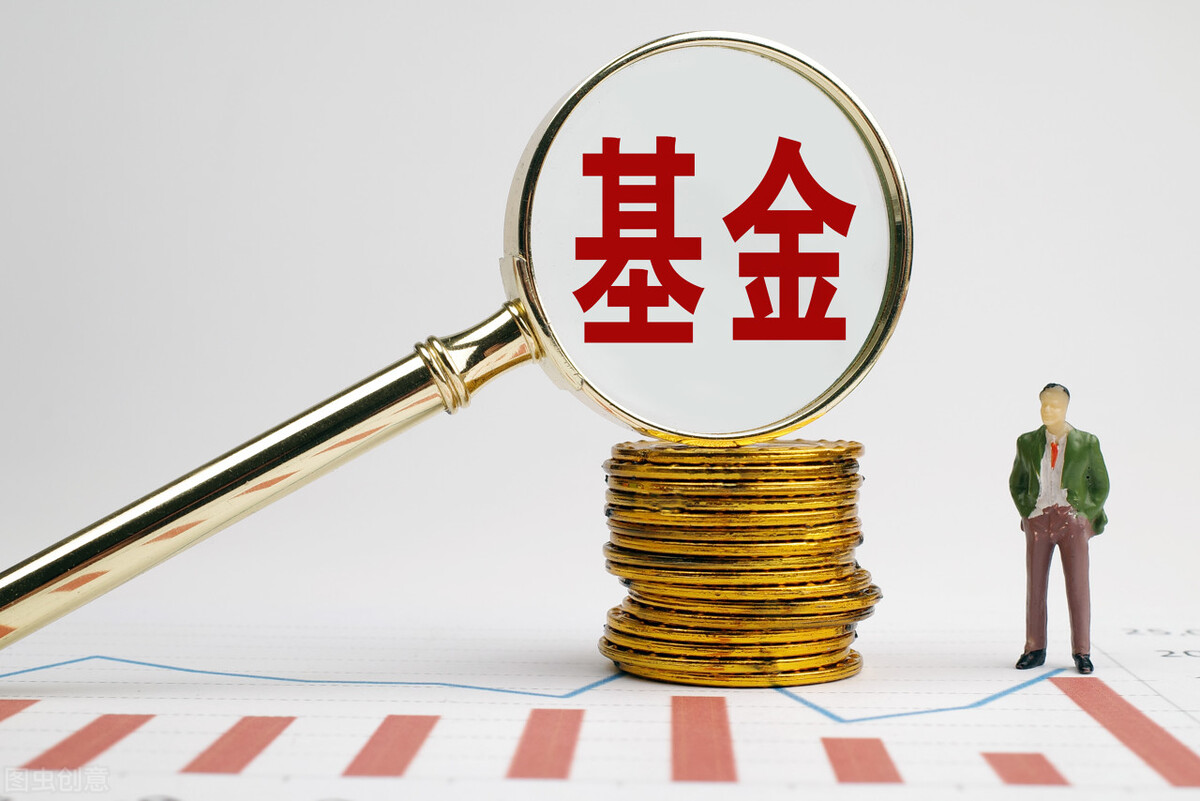 基金怎么玩_基金常识新手基金入门