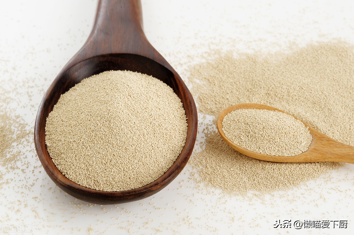 发酵粉是什么_发酵粉和酵母的区别