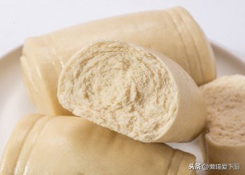 发酵粉是什么_发酵粉和酵母的区别