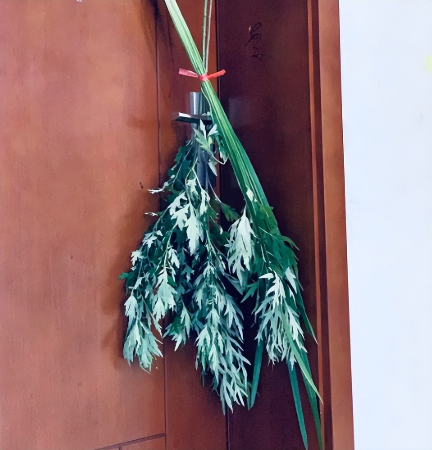 端午艾草怎么挂_端午艾草的正确挂法