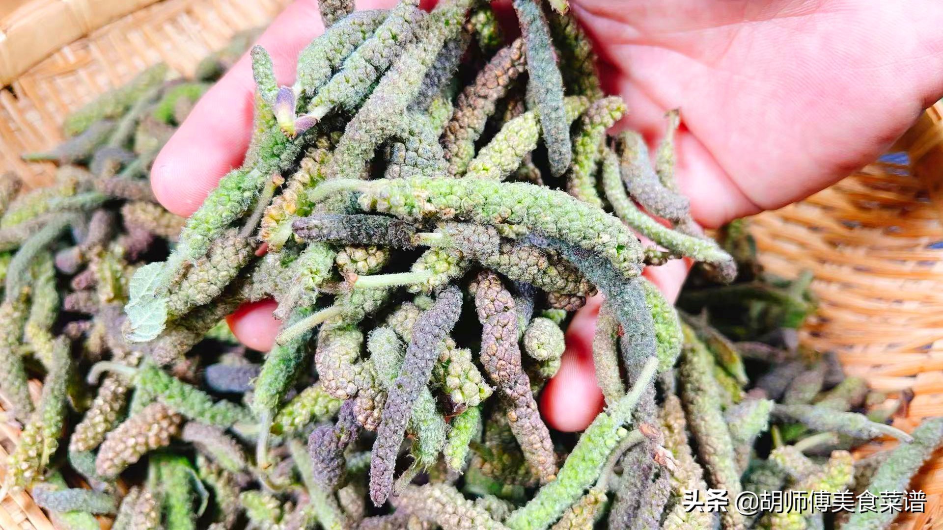 构树穗怎么吃_构树穗的正确吃法