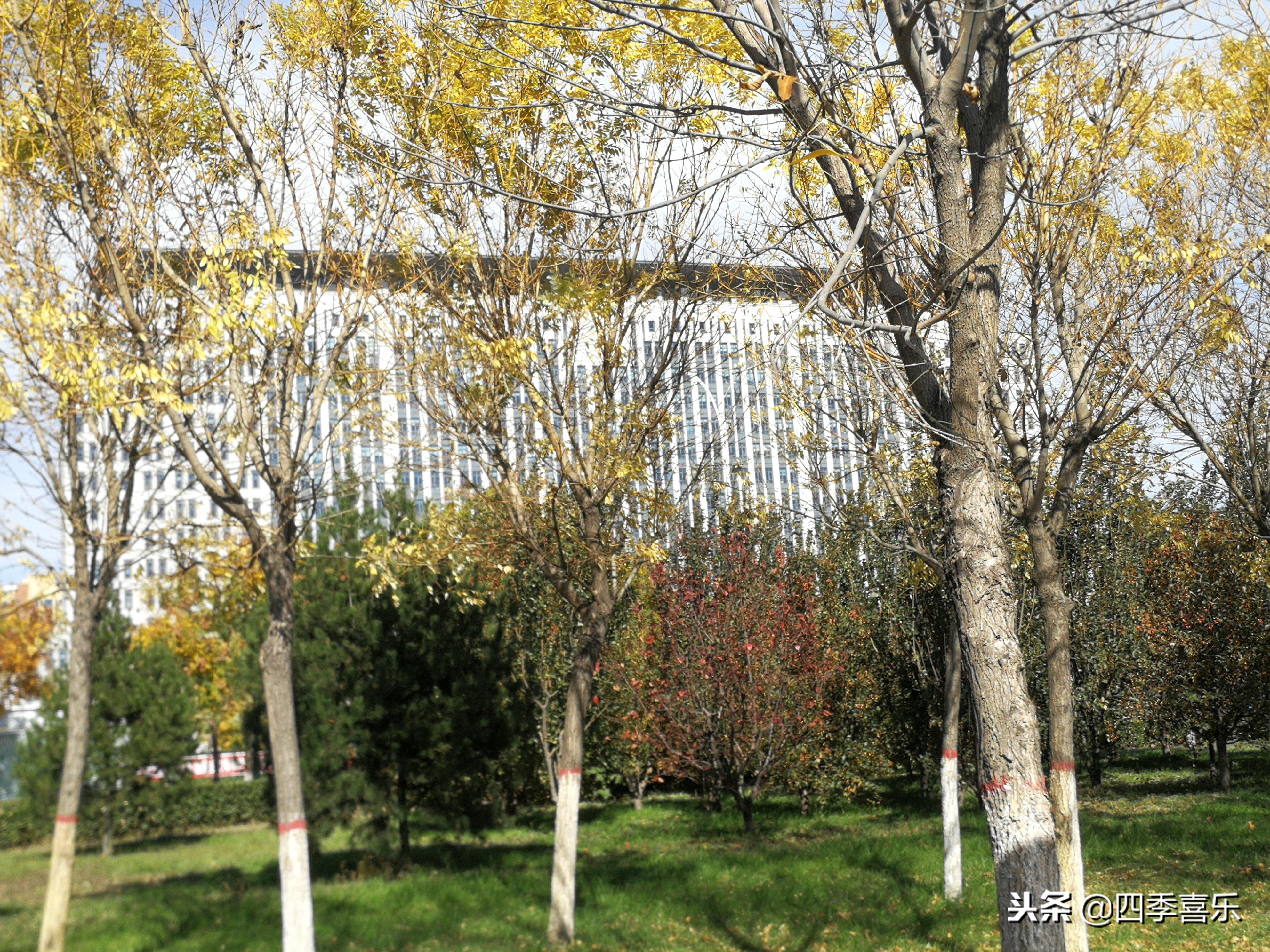 含蓄是什么意思_含蓄的通俗解释