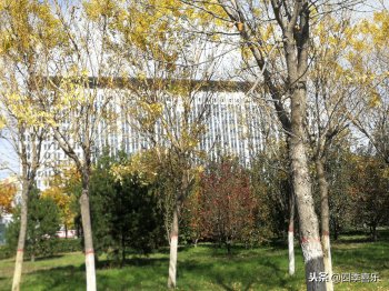 含蓄是什么意思_含蓄的通俗解释