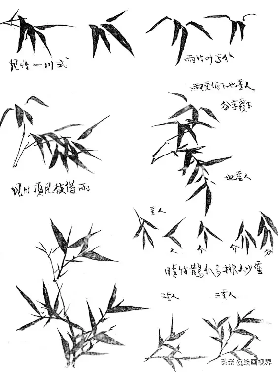 竹子怎么画_竹子的画法教程