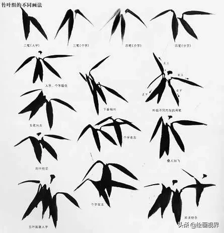 竹子怎么画_竹子的画法教程