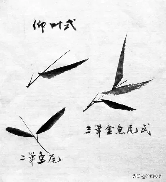 竹子怎么画_竹子的画法教程