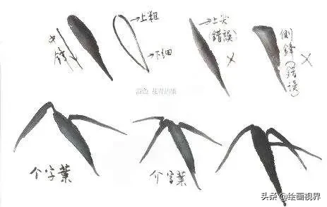 竹子怎么画_竹子的画法教程