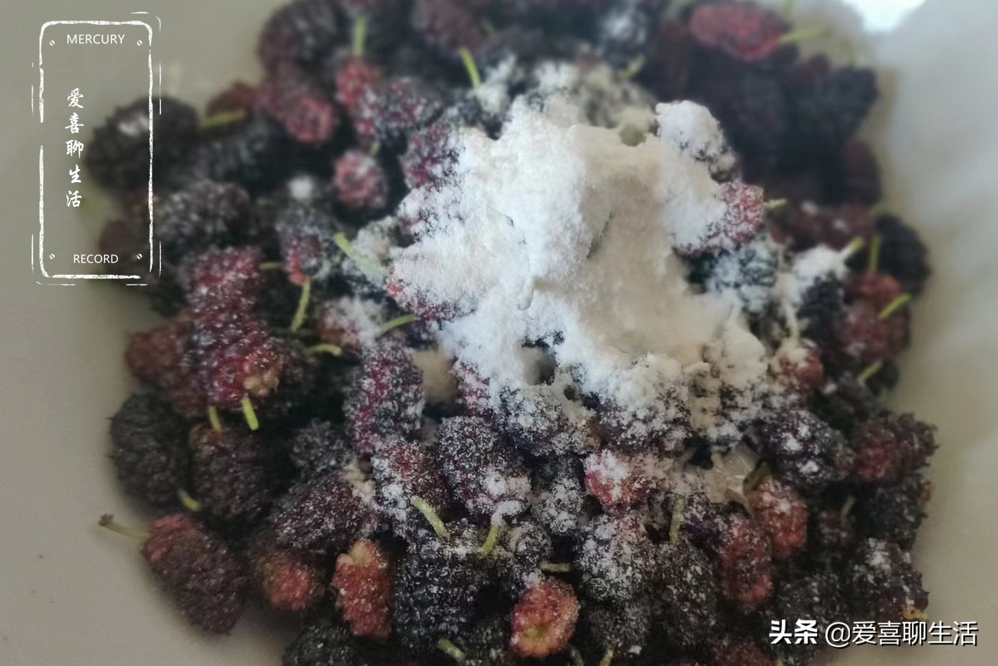 桑葚干怎么制作_桑葚干的制作方法