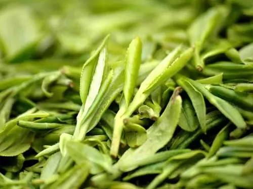 龙井是绿茶吗_你明白了吗
