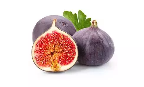无花果的功效有哪些_无花果的功效与作用