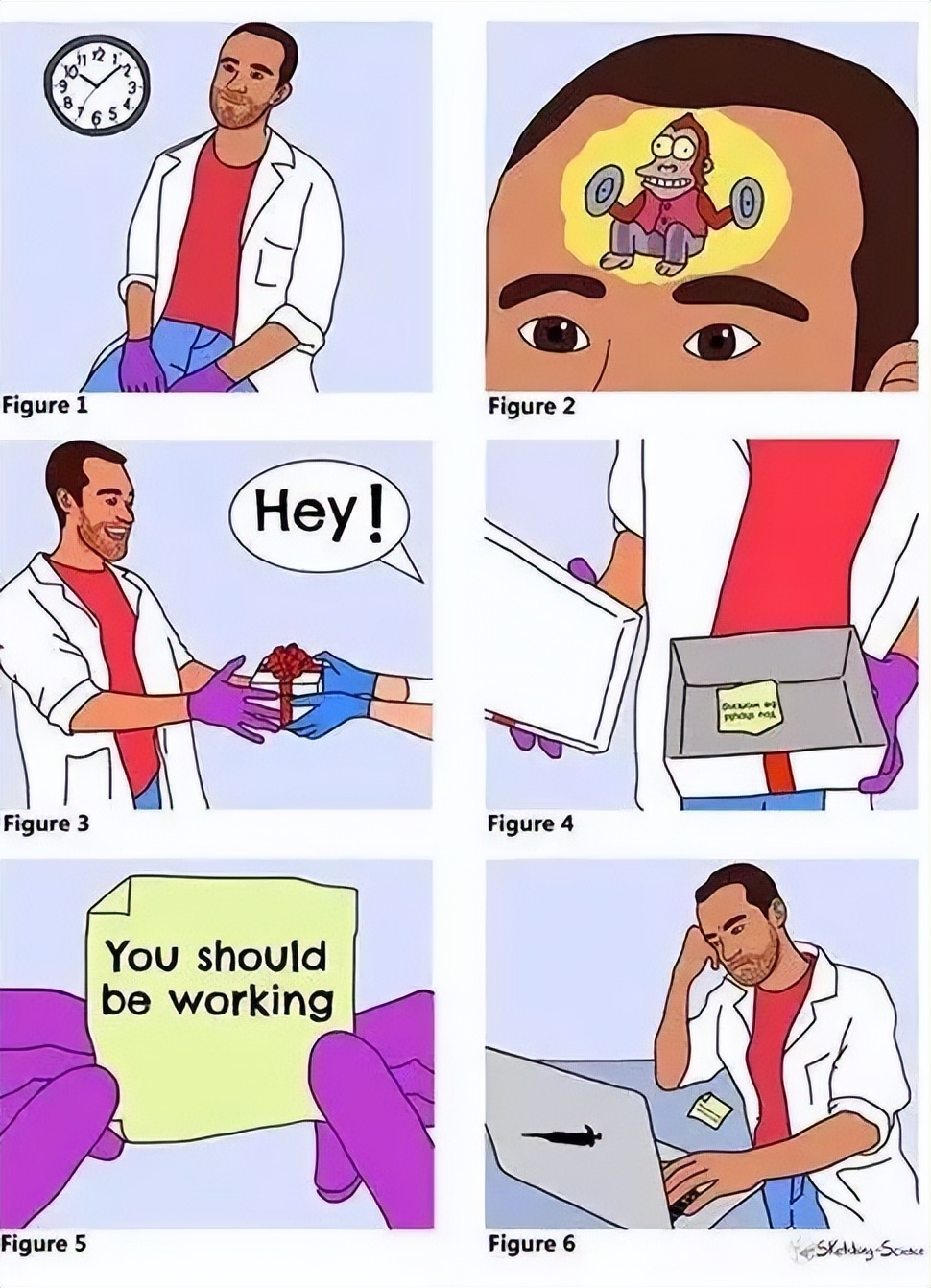 PHD是什么意思_PHD的含义和由来