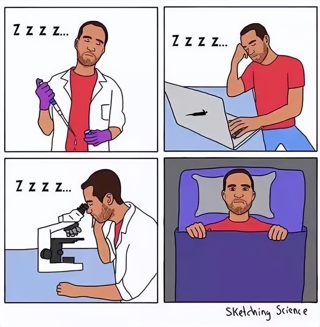 PHD是什么意思_PHD的含义和由来