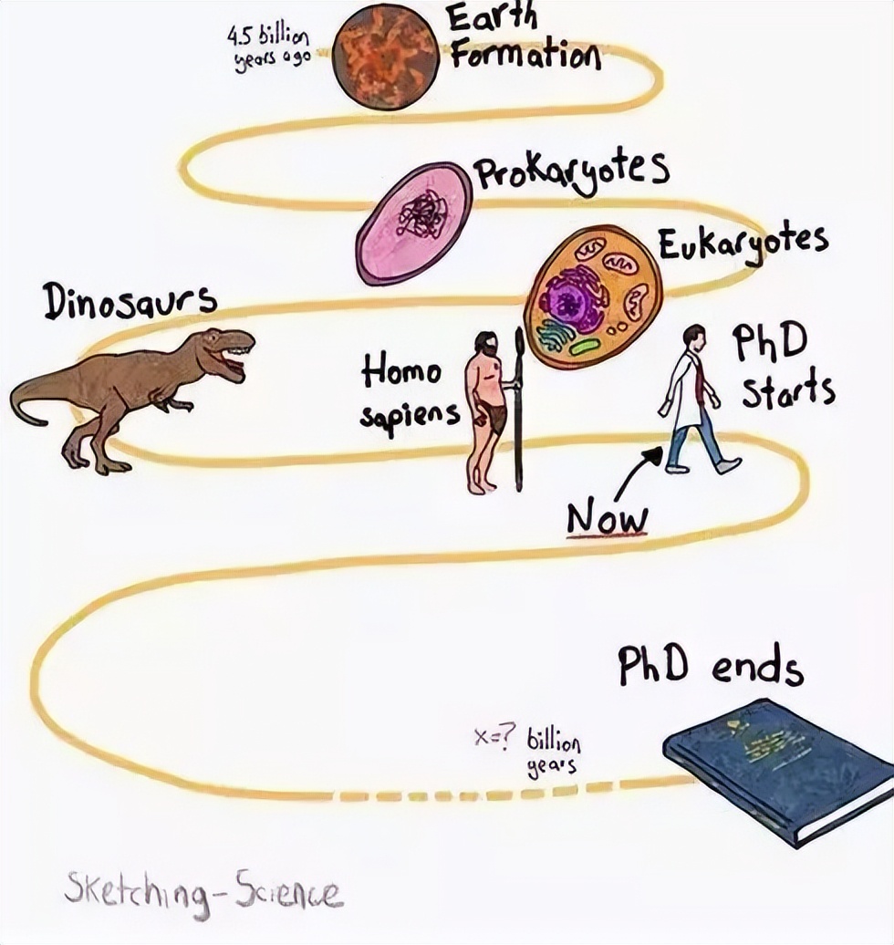 PHD是什么意思_PHD的含义和由来