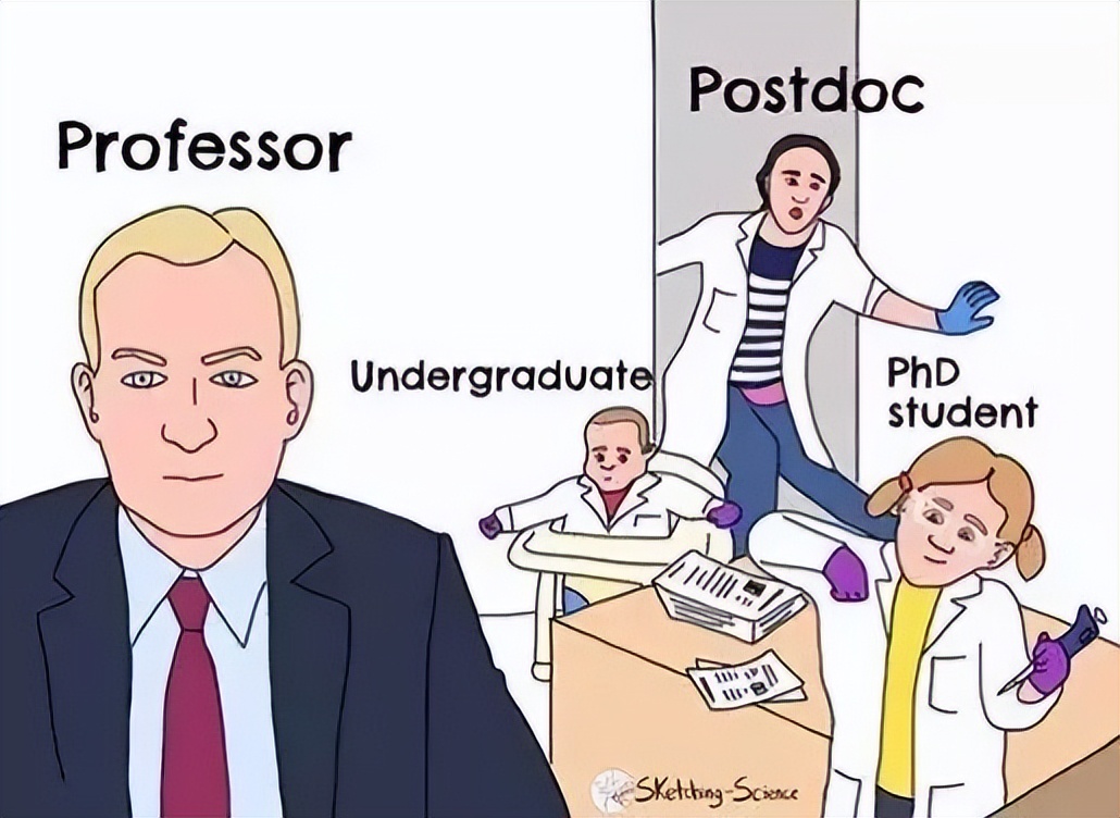PHD是什么意思_PHD的含义和由来