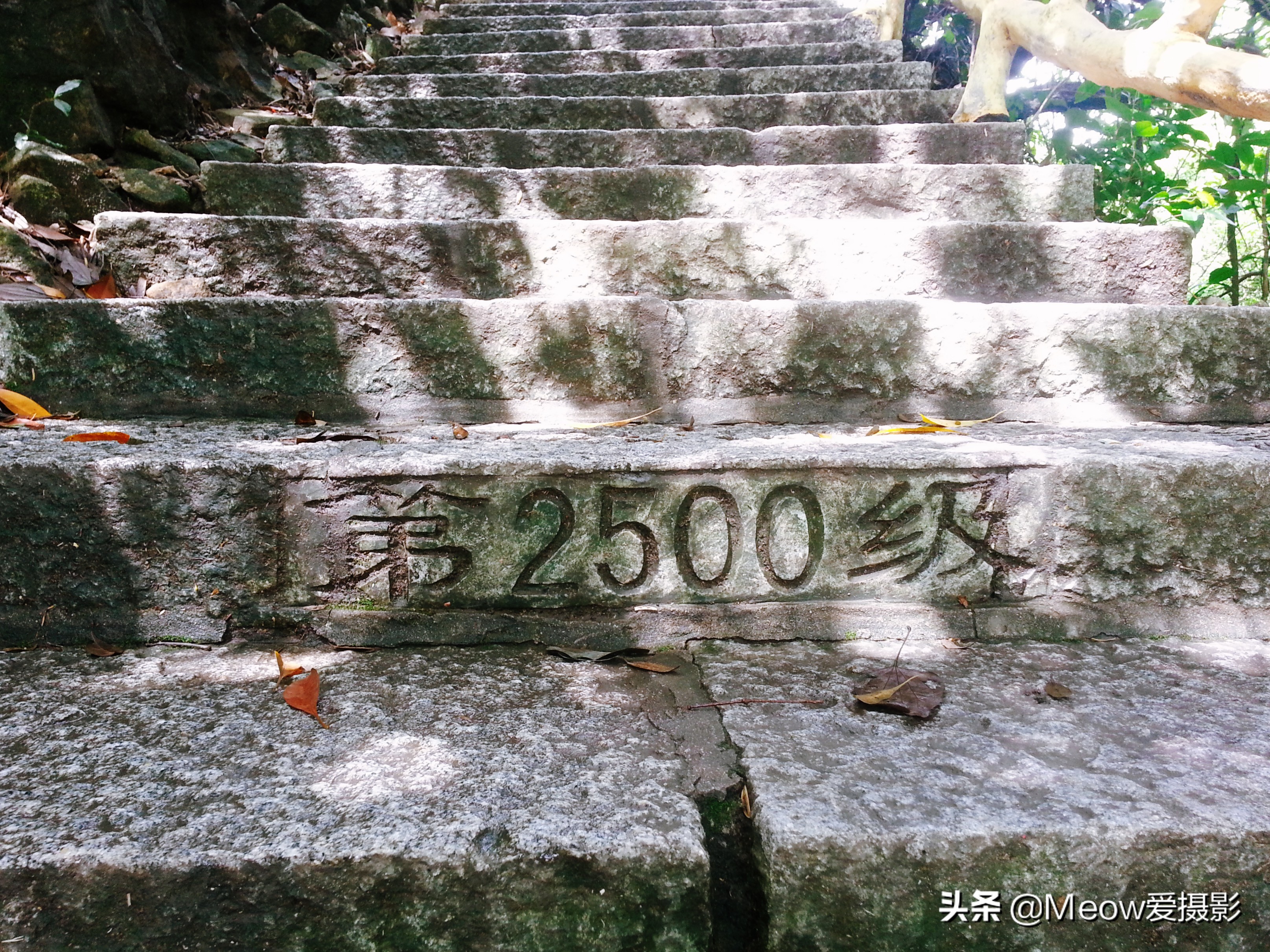 白水寨在哪里_白水寨的位置概况