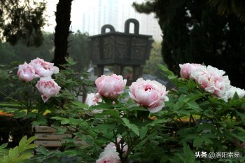 唐玄宗是谁_唐玄宗人物简介