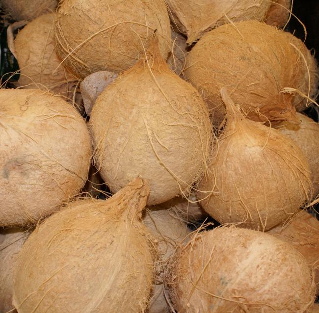 椰子有什么营养_椰子的营养价值和功效