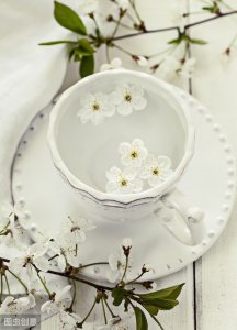 杯水车薪是什么意思_杯水车薪的典故