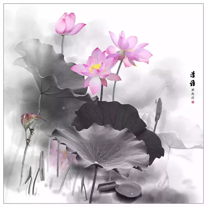 有关莲的诗句又哪些_有关莲的诗句大全