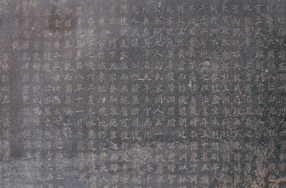 青面兽杨志怎么死的_青面兽杨志的死因