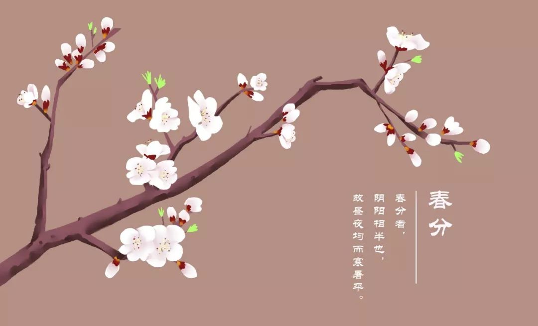 杏花的诗句有哪些_关于杏花的诗句赏析