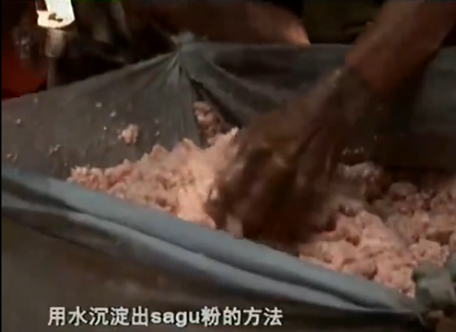西米是什么_西米的制作材料