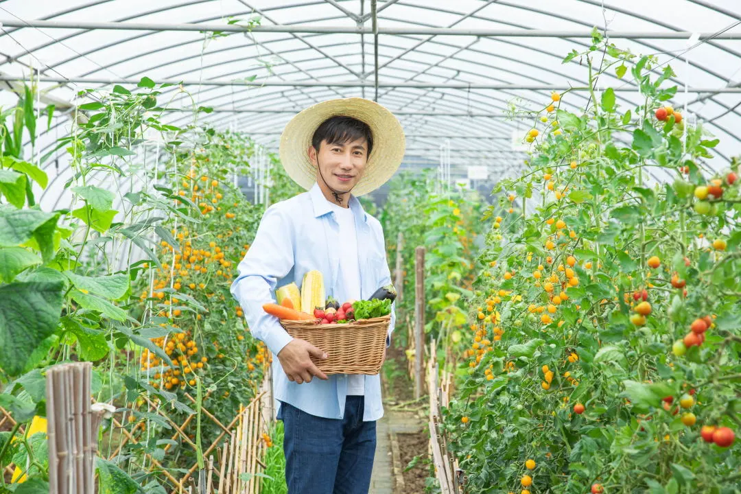 发展有机农业有什么好处_发展有机农业的好处和价值