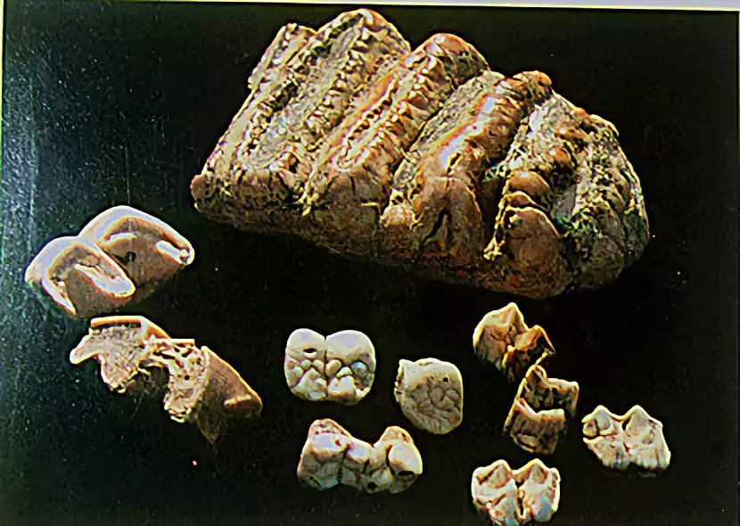 七星岩的历史_七星岩的历史及传说