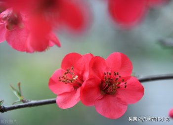 拮据什么意思_拮据的典故
