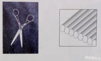 剪头发工具有哪些_剪头发工具的种类