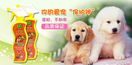 如何消灭跳蚤_消灭跳蚤的方法