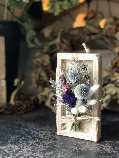 云南干花怎么养_云南干花的养殖方法