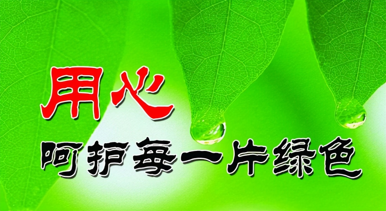 如何保护环境_保护环境的措施和建议